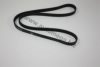 AUTOMEGA 3063400639 V-Ribbed Belts